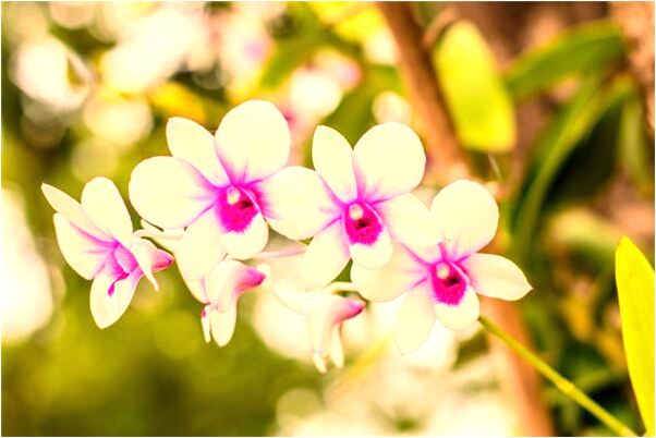 夢到了我和自己老婆結婚是什麼意思_周公解夢官網