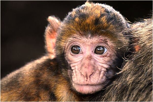 夢見熱水瓶爆了好不好_周公解夢官網