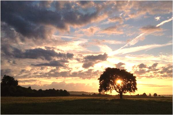 夢到了帶男友見父母有何寓意_周公解夢官網