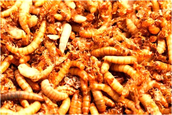 夢見手錶針都沒有了是咋回事_周公解夢官網