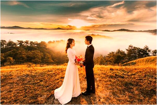 夢到了斷尾巴的貓是什麼意思_周公解夢官網