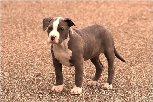 夢到了大紅球從天而降有什麼徵兆_周公解夢官網