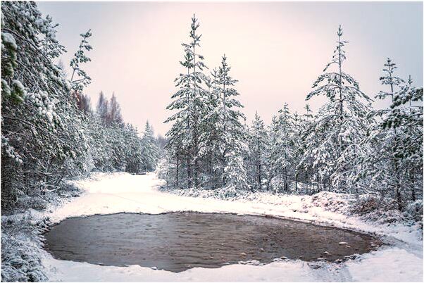 夢到了前任老婆意味著什麼_周公解夢官網