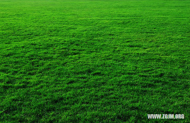 夢見生殖器被割_周公解夢夢到生殖器被割是什麼意思_做夢夢見生殖器被割好不好_周公解夢官網