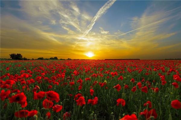 夢見日落_周公解夢