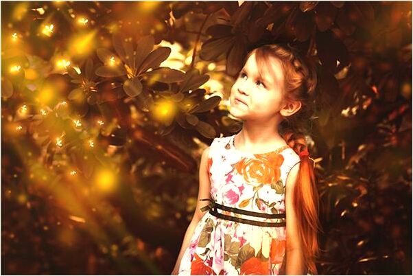 夢見刮黑風時自己抱著大樹代表著什麼_周公解夢官網