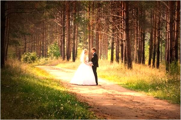 夢到了打一隻很肥大老鼠什麼預兆_周公解夢官網