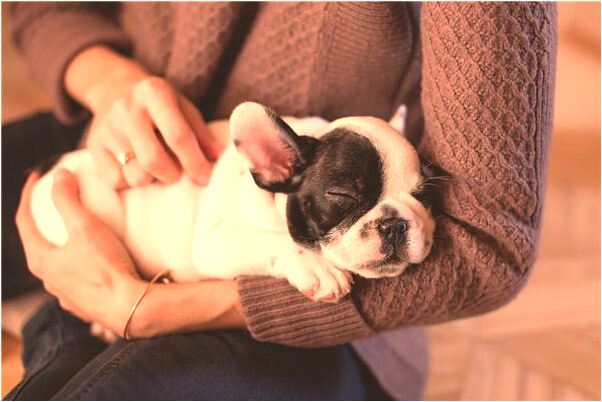 夢見彩票號了有什麼說法_周公解夢官網