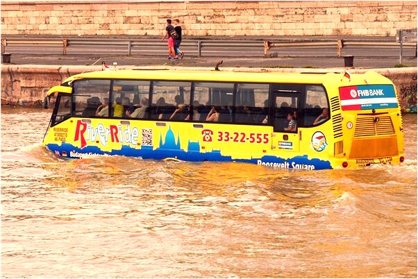 夢到了烏龜脫殼預兆了什麼嗎_周公解夢官網