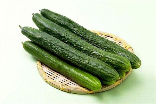 Pregnant women dream of eat a cucumber to _ what is meant by the duke of zhou interprets pregnant women dream of eating cucumber _ pregnant women dream of eat the cucumber is good _ duke of zhou interprets website