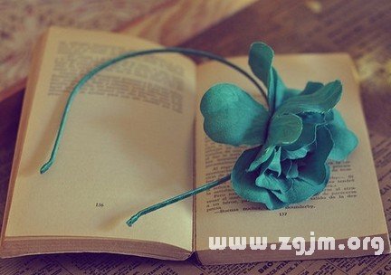 12星座成功秘笈_十二星座