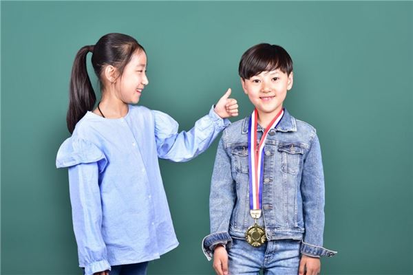 2013年是什麼生肖五行_十二生肖