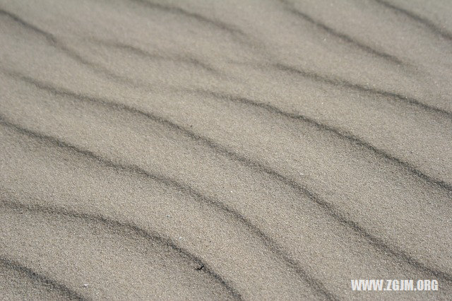 夢見烏龜咬自己_周公解夢夢到烏龜咬自己是什麼意思_做夢夢見烏龜咬自己好不好_周公解夢官網