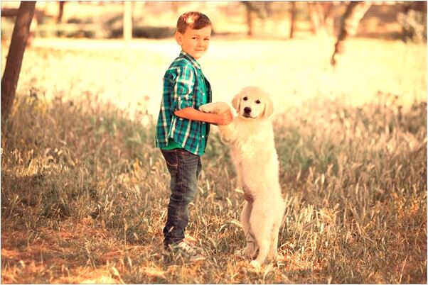 夢到了我家的狗救了我的命意味著什麼_周公解夢官網