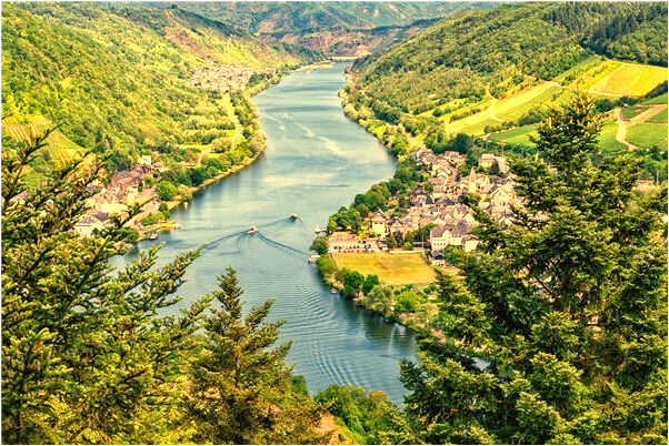 夢見別人送三隻貓是什麼預兆_周公解夢官網