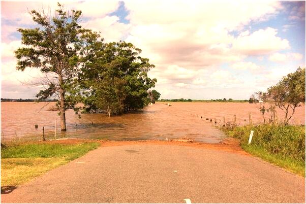 夢到庭院進狐狸是什麼預兆_周公解夢官網