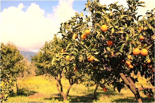 夢到墳上往外噴水是什麼兆頭_周公解夢官網