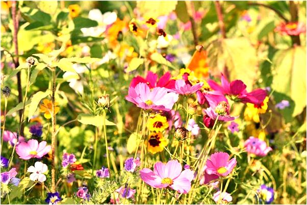 夢見辦公室被霸占是好事還是壞事_周公解夢官網