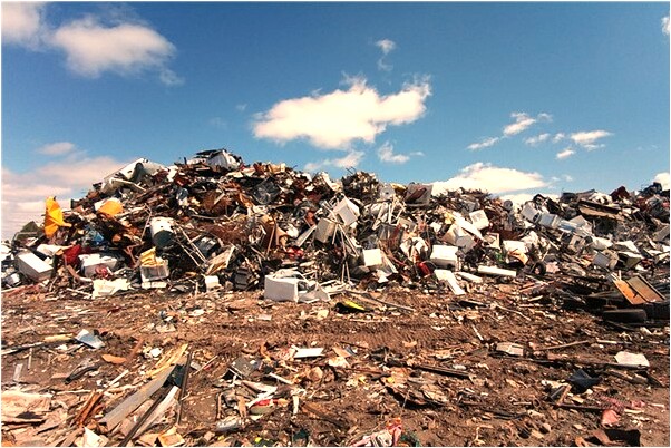 夢到了好多老鱉預示什麼_周公解夢官網