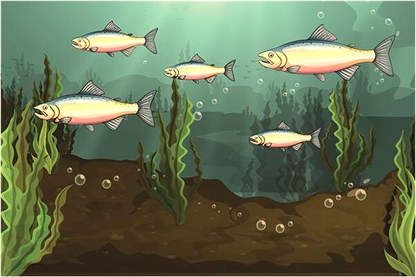 夢見帶血的枕頭會怎么樣_周公解夢官網