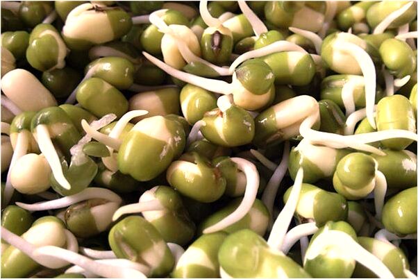 夢見地龍螞蟻代表什麼_周公解夢官網