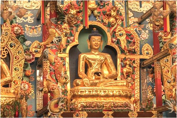 夢見踩到狼頭預示什麼_周公解夢官網