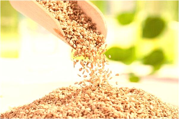 夢到了好多蛇咬別人代表著什麼?_周公解夢官網