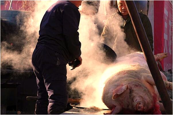 夢到了自己持刀割破別人脖子是凶兆還是吉兆_周公解夢官網