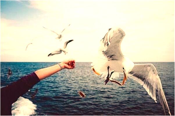 夢到打得別人噴血是好是壞_周公解夢官網