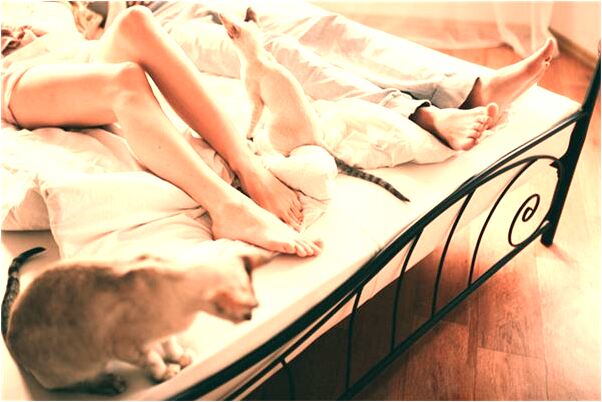 夢見手機屏炸了有什麼意義嗎_周公解夢官網