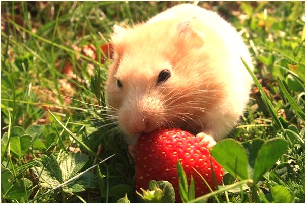 夢到了老婆不和我做愛預示著什麼_周公解夢官網