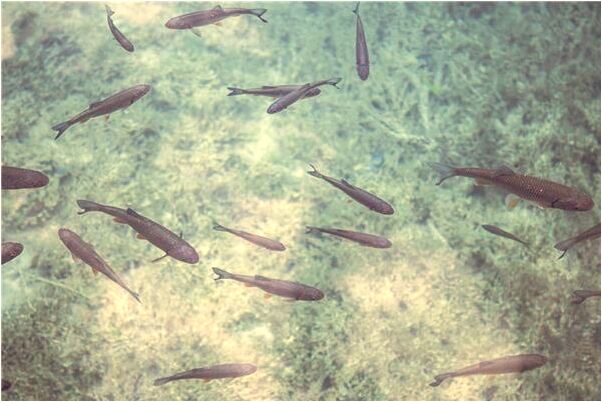 夢到去別的廠上班意味著什麼_周公解夢官網