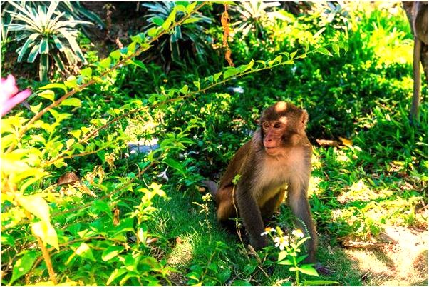 夢見買行李箱別人幫我付賬是什麼預兆_周公解夢官網