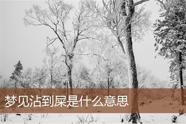 夢見沾到屎是什麼意思_周公解夢