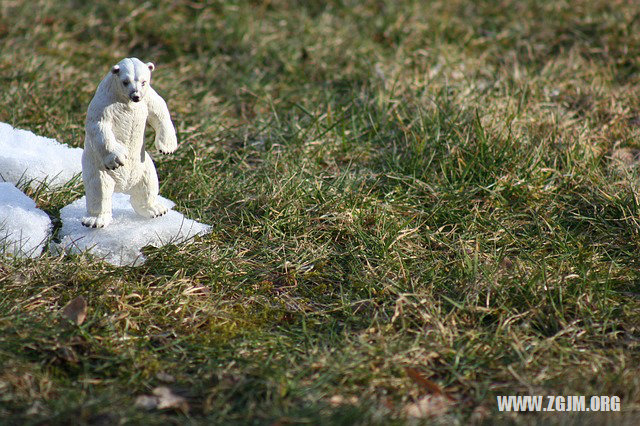 夢見浪打過來了_周公解夢夢到浪打過來了是什麼意思_做夢夢見浪打過來了好不好_周公解夢官網