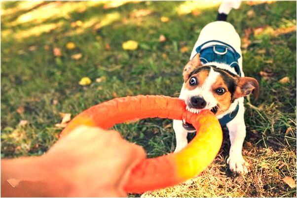 夢到有橫財預示了什麼_周公解夢官網