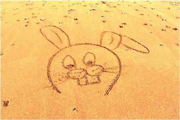 夢見抄雞蛋吃預示了什麼_周公解夢官網