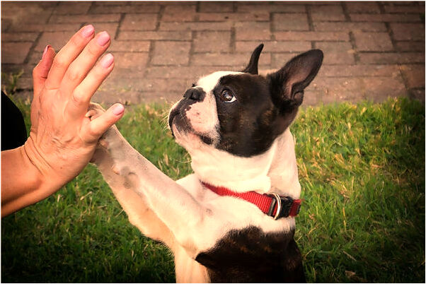 夢到了仇人合好是什麼徵兆_周公解夢官網