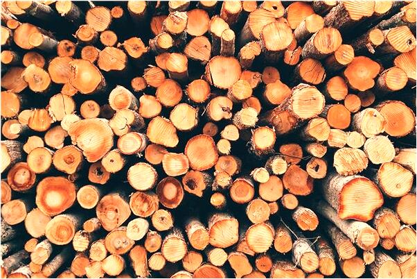 夢到了父親的情人懷孕怎么樣_周公解夢官網