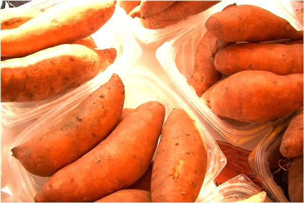 夢到一群小狗圍咬有什麼意思嗎_周公解夢官網