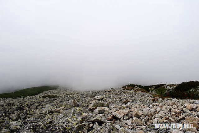 夢見拜觀音_周公解夢夢到拜觀音是什麼意思_做夢夢見拜觀音好不好_周公解夢官網