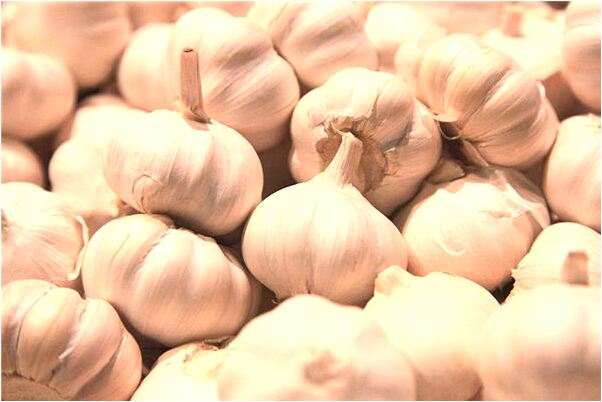 夢到車下陡陂有什麼意義嗎_周公解夢官網