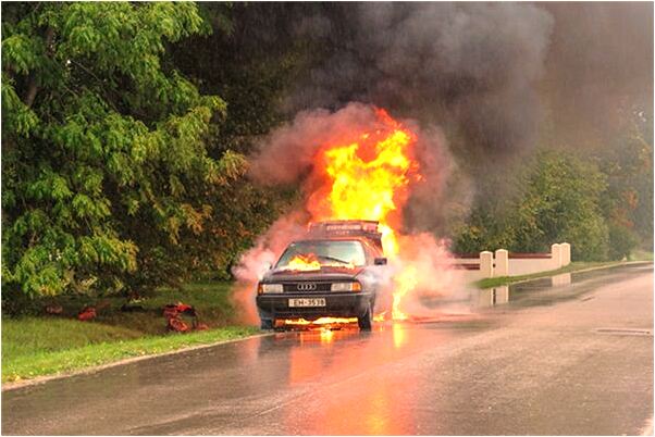 夢見馬死了預兆了什麼嗎_周公解夢官網