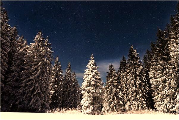 夢見水龍頭漏了是怎么回事_周公解夢官網