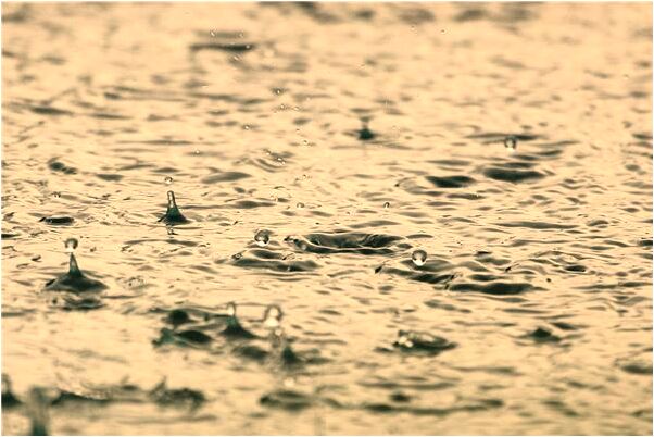 夢到媽媽玩電腦是啥意思_周公解夢官網