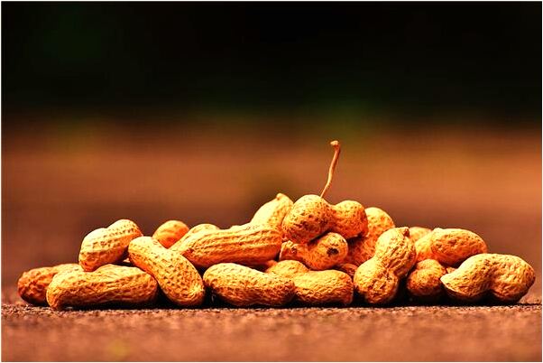 夢到去銀行取錢取完就被騙走了意味著什麼_周公解夢官網