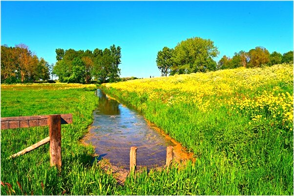 夢到提前退學怎么說_周公解夢官網