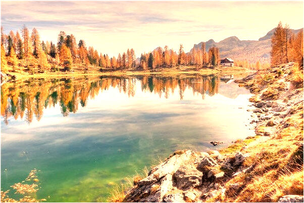 夢見兩個外國人互相接吻有什麼預示嗎_周公解夢官網