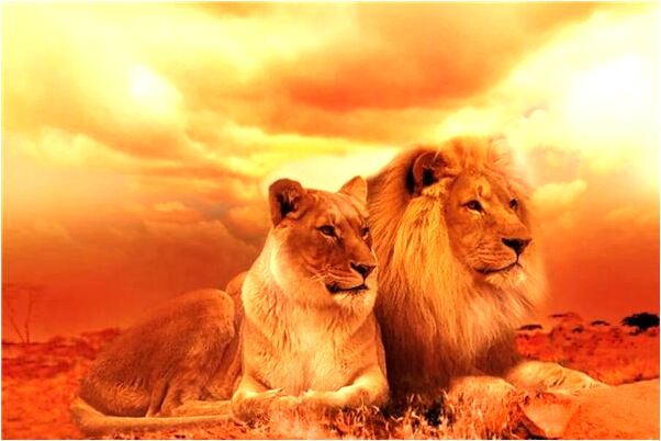 夢到了被人打死預示什麼_周公解夢官網