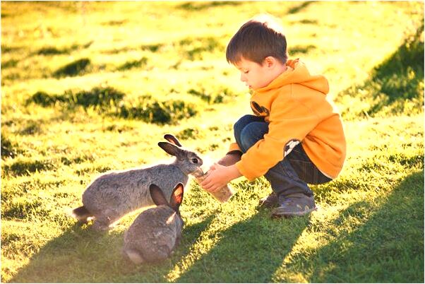 夢見嫖娼的價格預示了什麼_周公解夢官網
